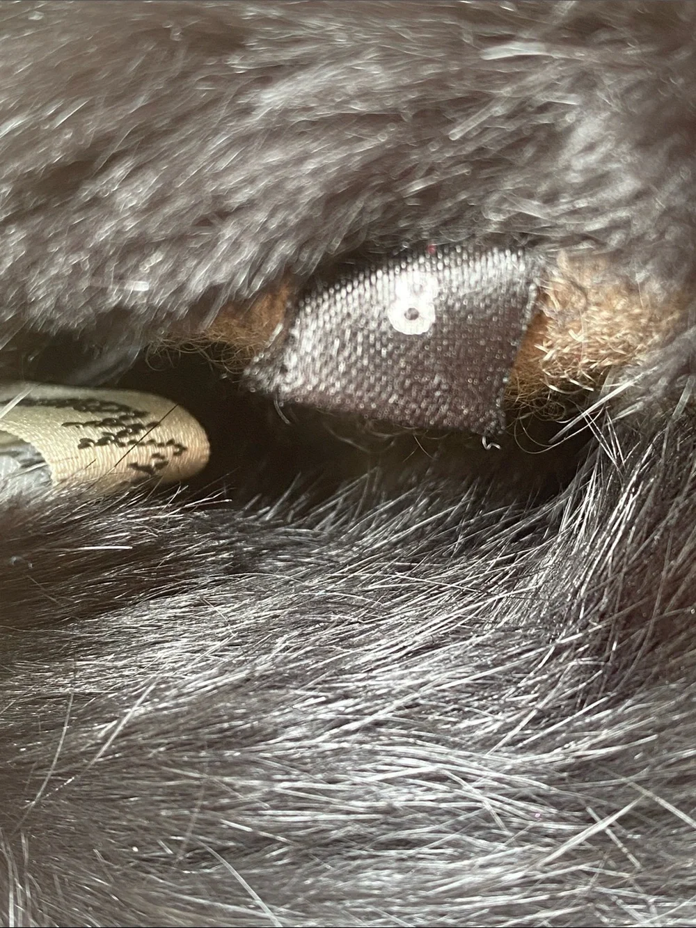 Neiman Marcus Leather & Fur Gloves with Cashmere Lining